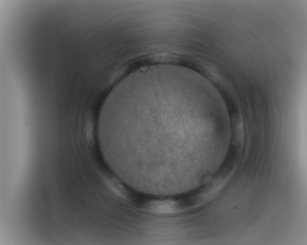 X0000115580266200911171015