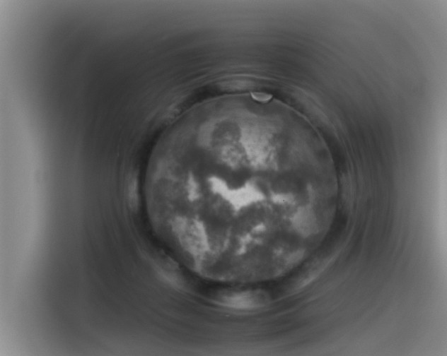 X0000115580267200911171015