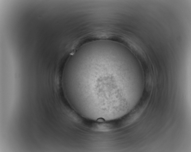 X0000115580268200911171015