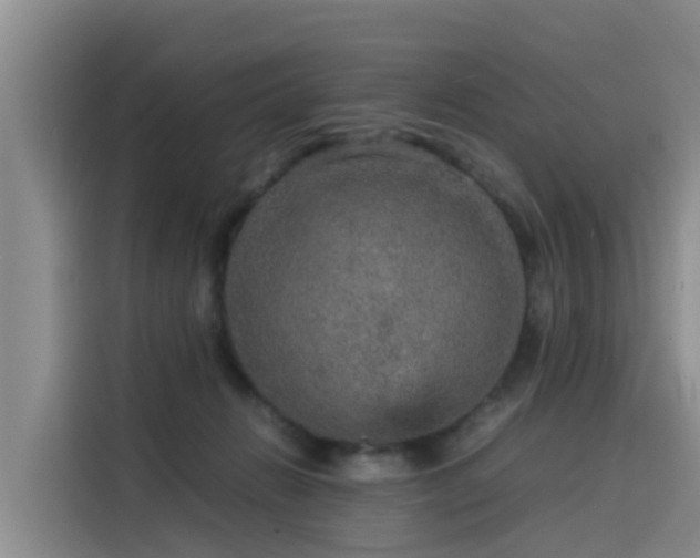 X0000115580270200911171016