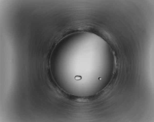 X0000115580272200911171016