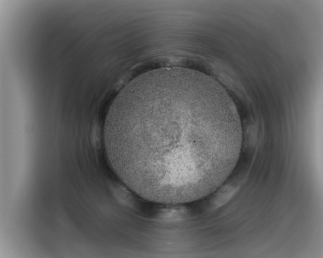 X0000115580274200911171016