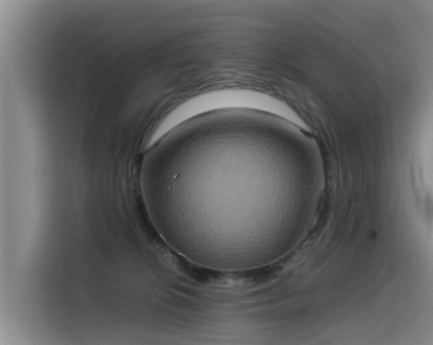 X0000115580276200911171016