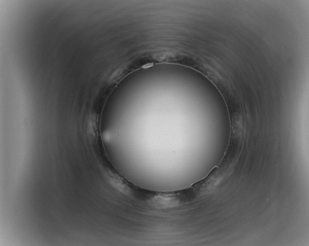 X0000115580280200911171016