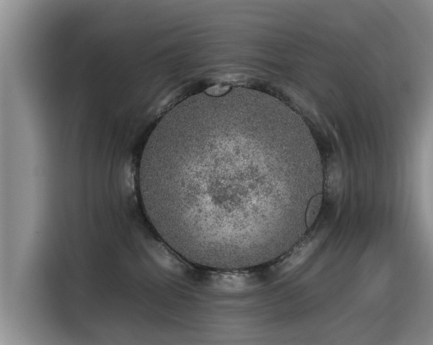 X0000115580282200911171016