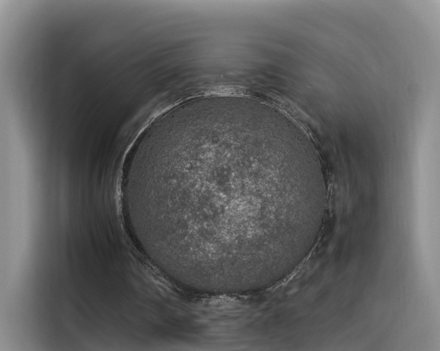 X0000115580290200911171015