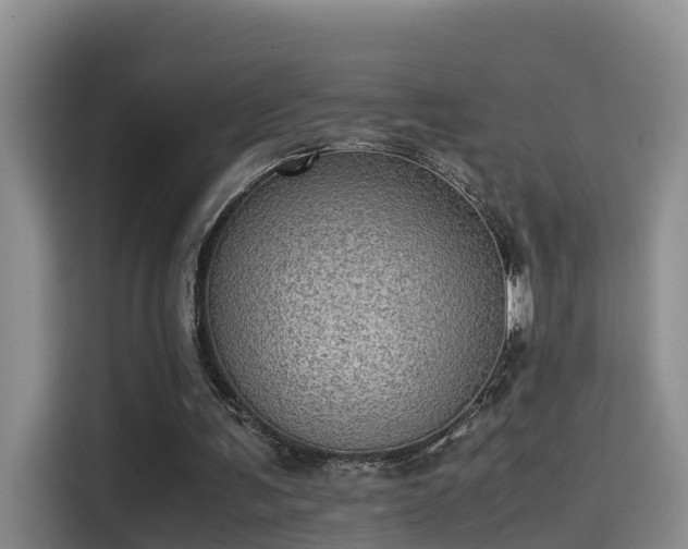 X0000115580291200911171015