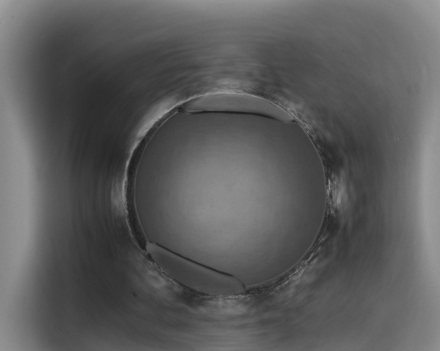 X0000115580292200911171015