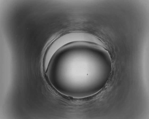 X0000115580293200911171015