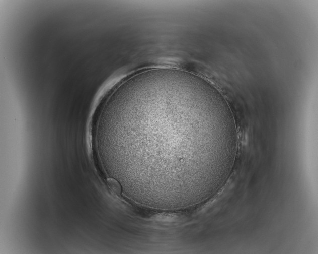 X0000115580294200911171015