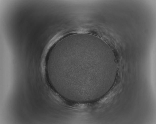 X0000115580295200911171015