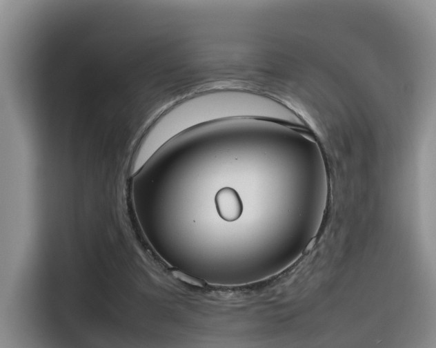 X0000115580297200911171015