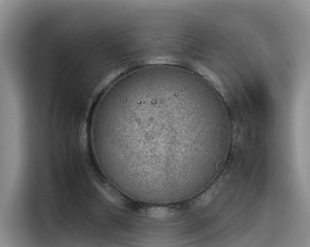 X0000115580298200911171015