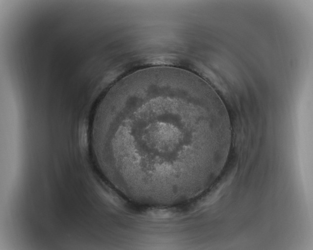 X0000115580299200911171015