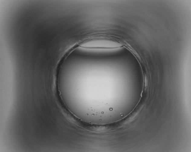 X0000115580301200911171015