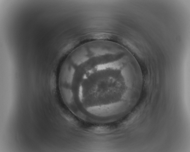 X0000115580303200911171015