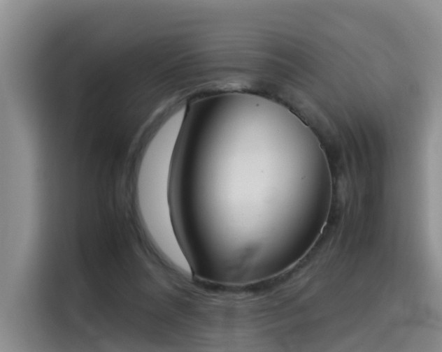 X0000115580304200911171015