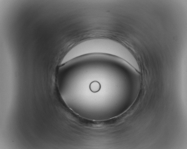 X0000115580309200911171015