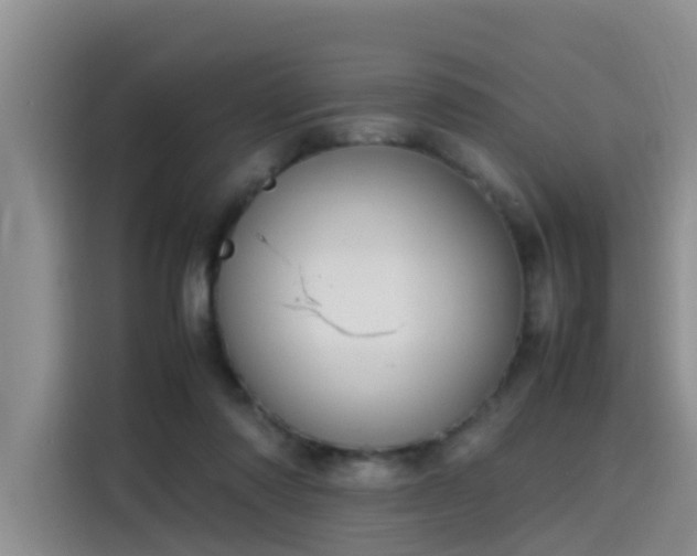 X0000115580310200911171015