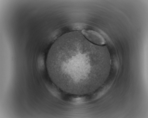 X0000115580312200911171015