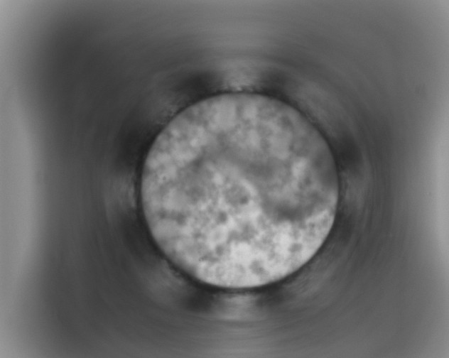 X0000115580313200911171015