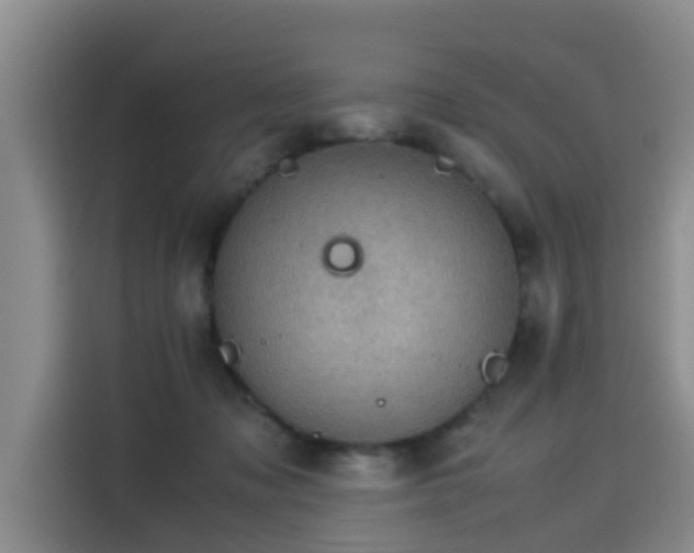 X0000115580317200911171015