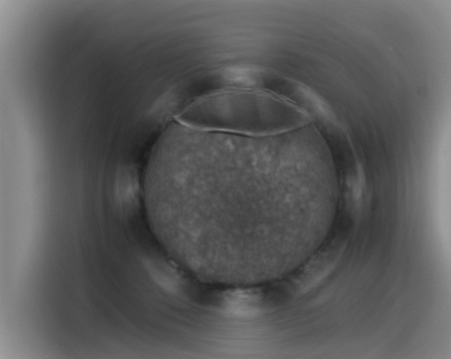 X0000115580320200911171015