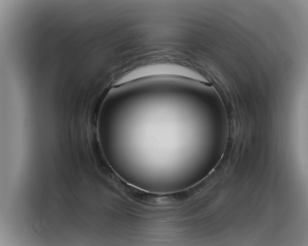 X0000115580324200911171015