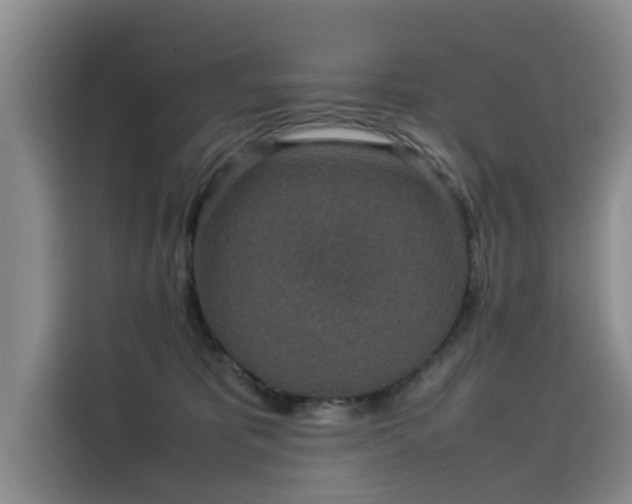 X0000115580325200911171015