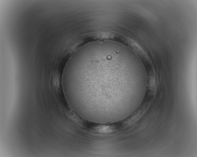 X0000115580326200911171015