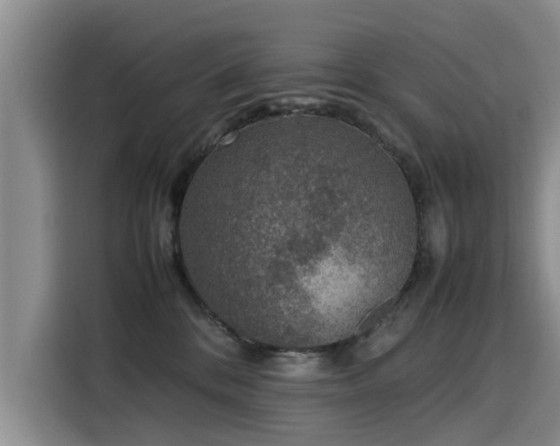 X0000115580328200911171015