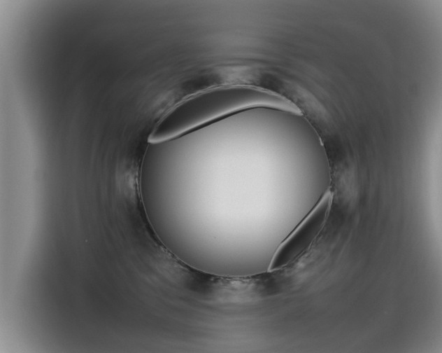 X0000115580329200911171015