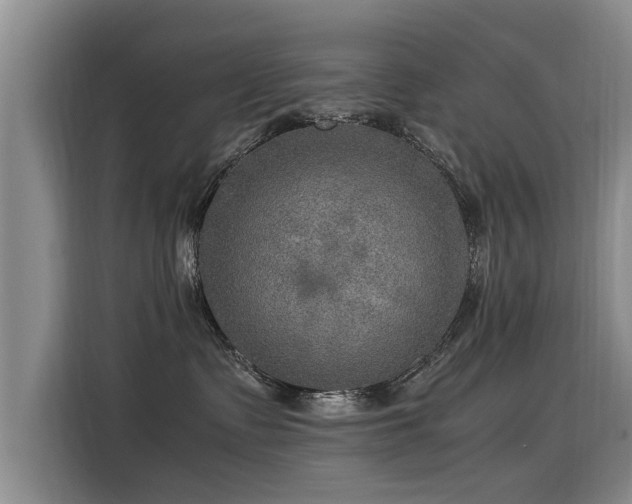 X0000115580335200911171015