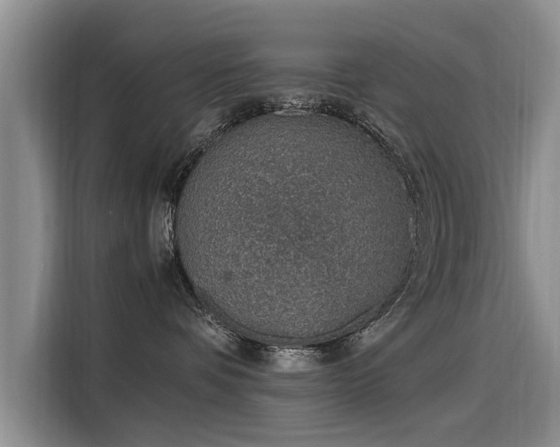 X0000115580336200911171015