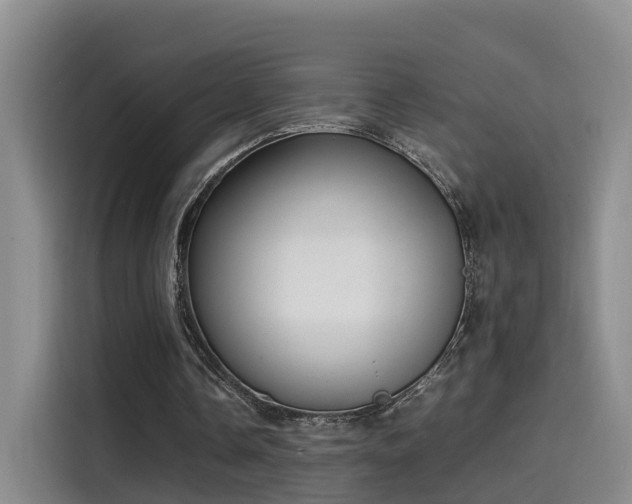 X0000115580338200911171014