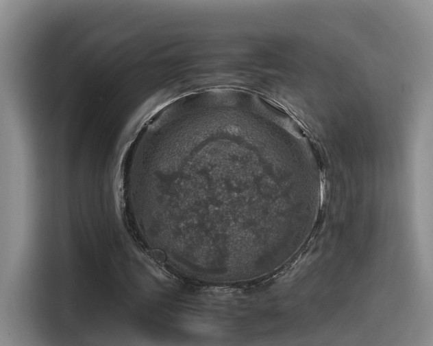 X0000115580339200911171014