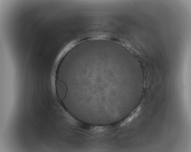 X0000115580341200911171014