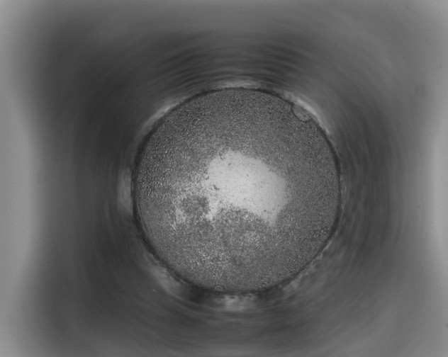 X0000115580345200911171014