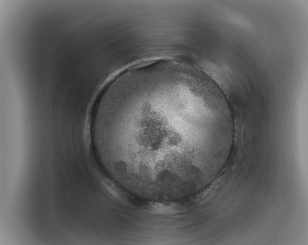 X0000115580346200911171014