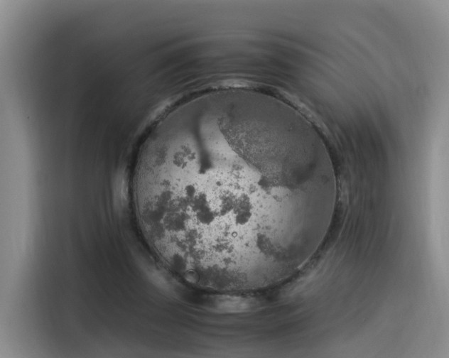 X0000115580347200911171014