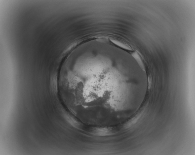 X0000115580349200911171014