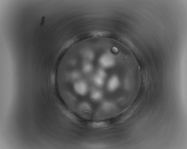 X0000115580357200911171014