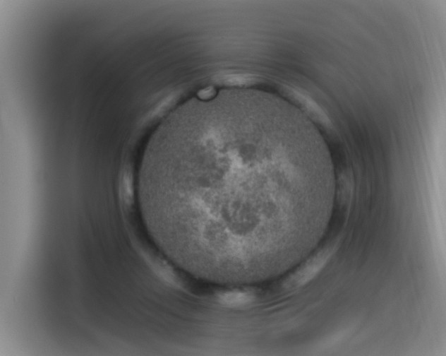 X0000115580358200911171014