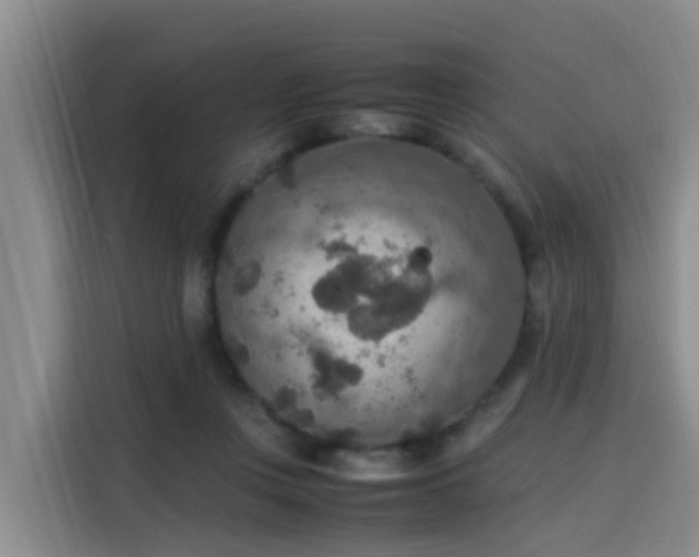 X0000115580359200911171014