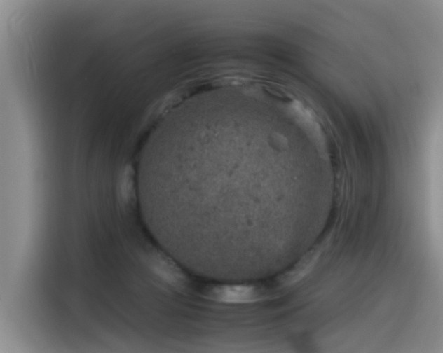 X0000115580361200911171014