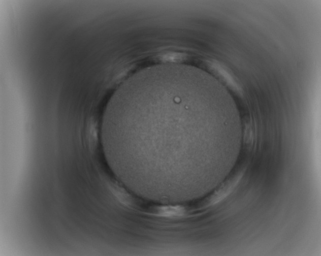 X0000115580363200911171014