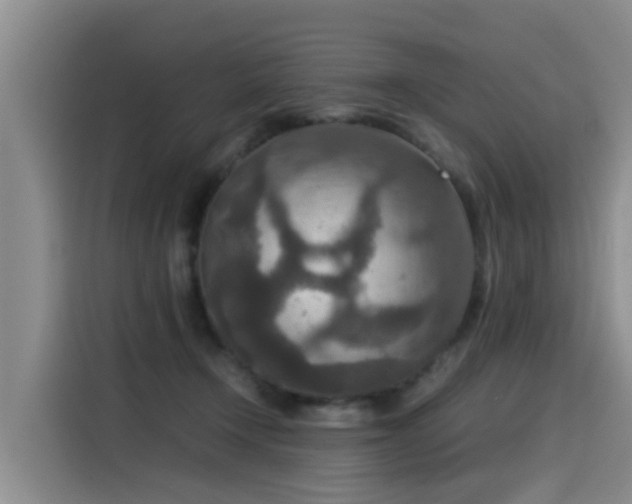 X0000115580366200911171014