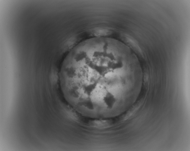 X0000115580367200911171014