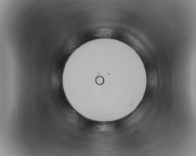 X0000115580370200911171014