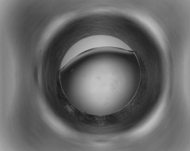 X0000115580382200911171014